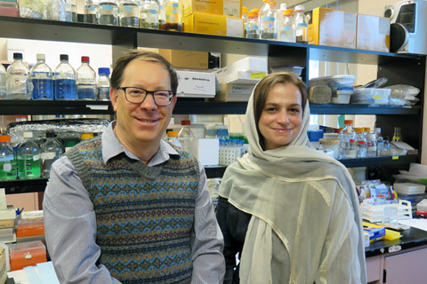 Drs. Paul Albert and Faranak Vahid-Ansari